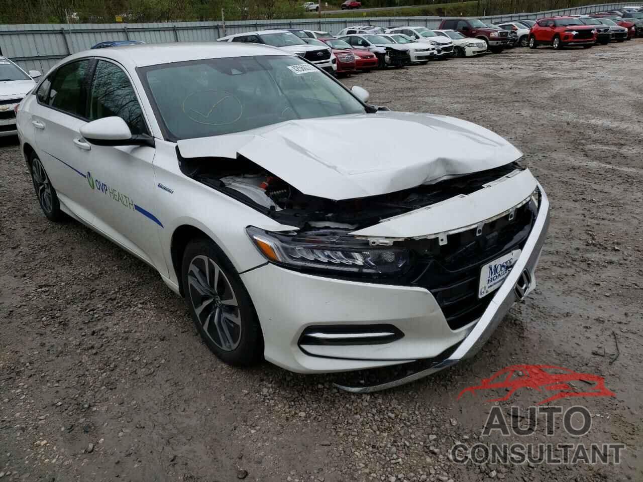 HONDA ACCORD 2019 - 1HGCV3F15KA008562