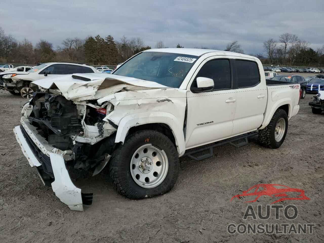 TOYOTA TACOMA 2019 - 3TMCZ5ANXKM192005