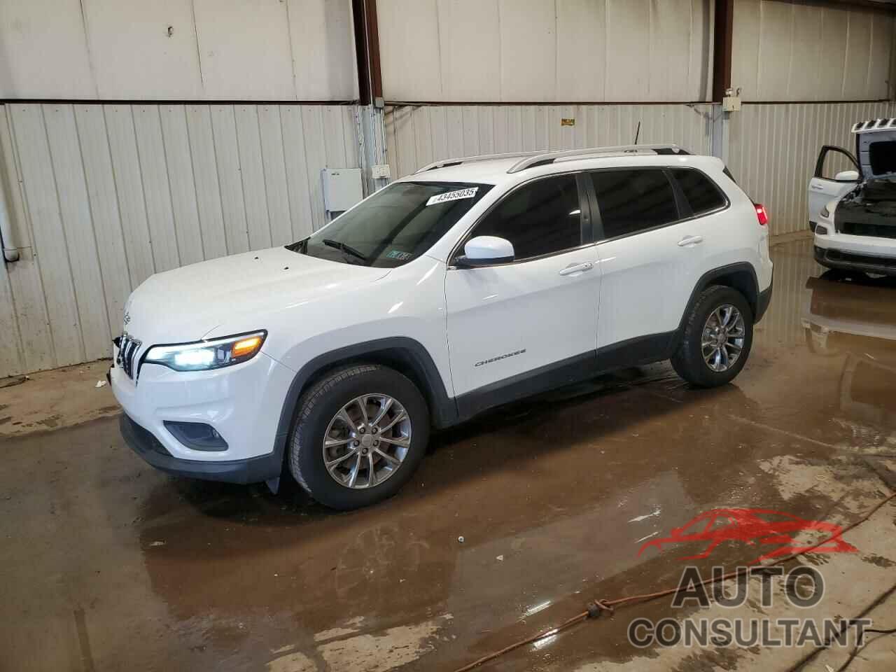 JEEP GRAND CHER 2019 - 1C4PJMLB6KD195694