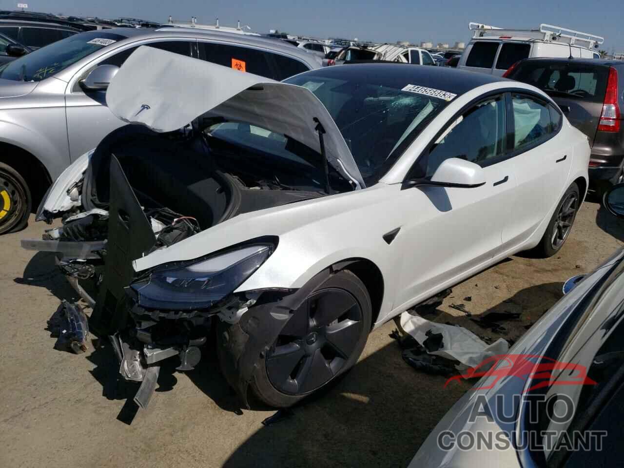 TESLA MODEL 3 2021 - 5YJ3E1EA0MF095768