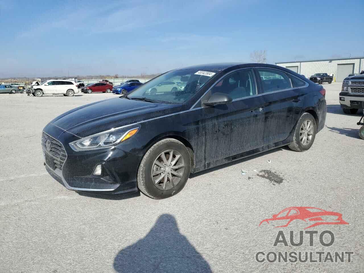 HYUNDAI SONATA 2019 - 5NPE24AF4KH746757