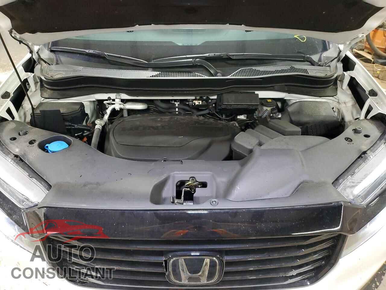 HONDA PASSPORT 2025 - 5FNYF8H84SB011663