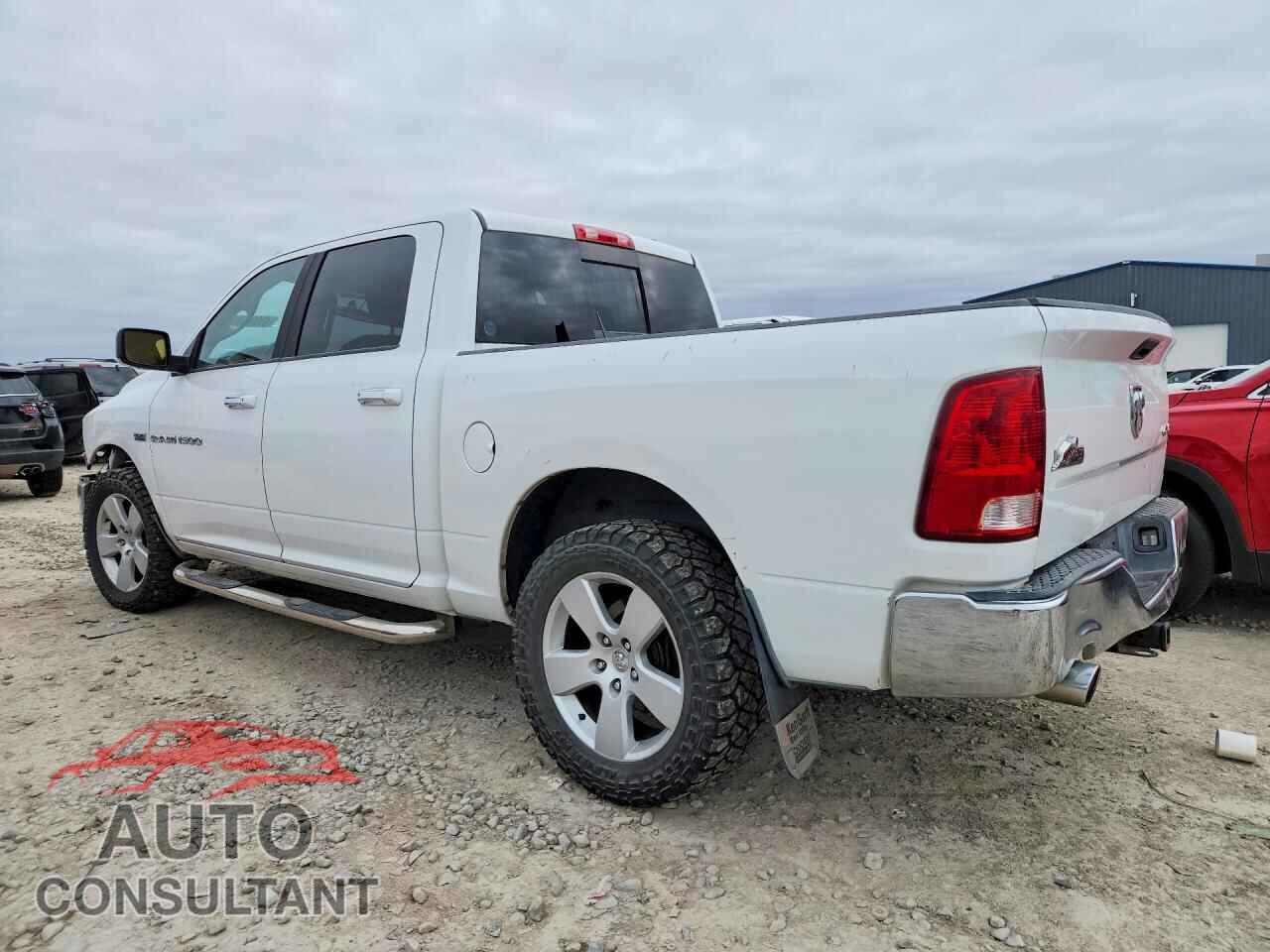DODGE RAM 1500 2011 - 1D7RV1CT1BS691394