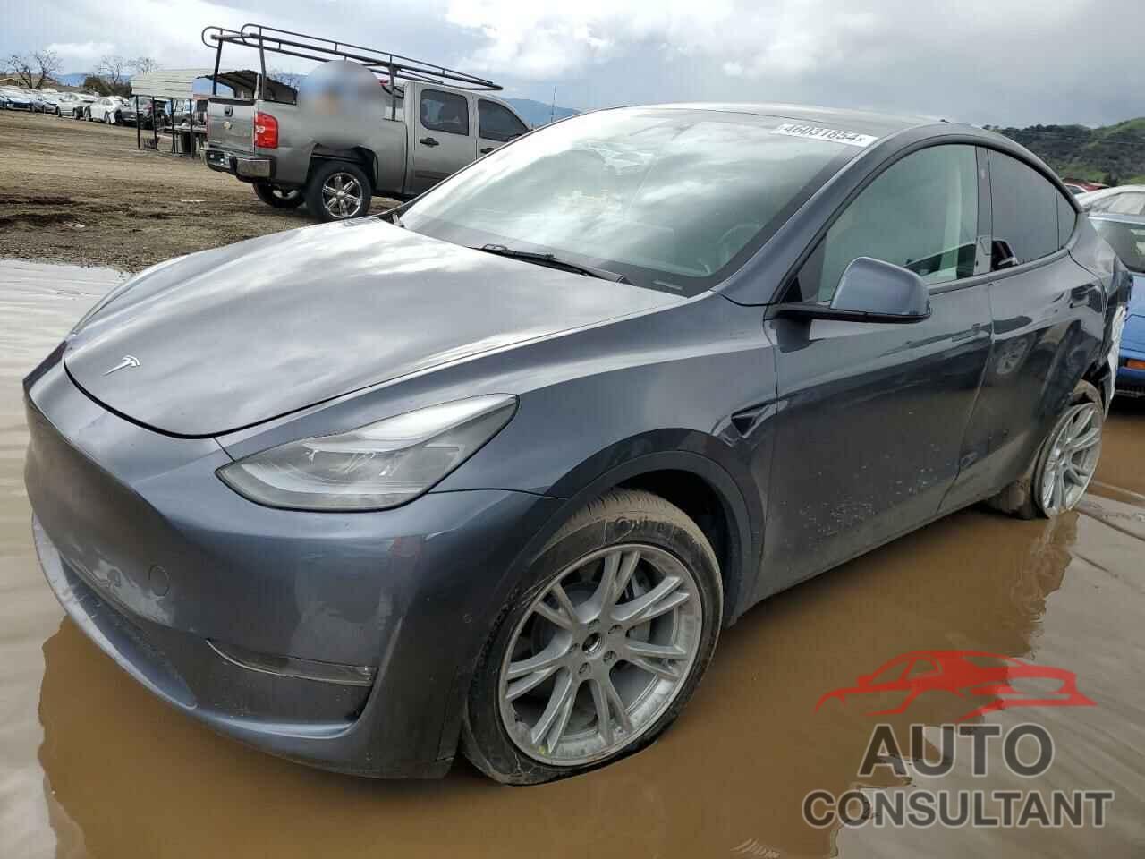 TESLA MODEL Y 2022 - 7SAYGDEEXNF533592