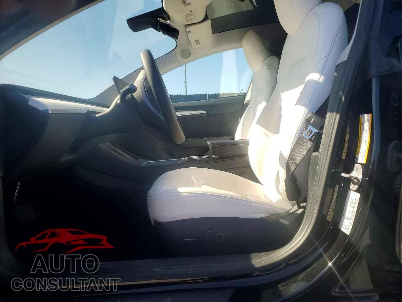 TESLA MODEL 3 2021 - 5YJ3E1EA9MF087412