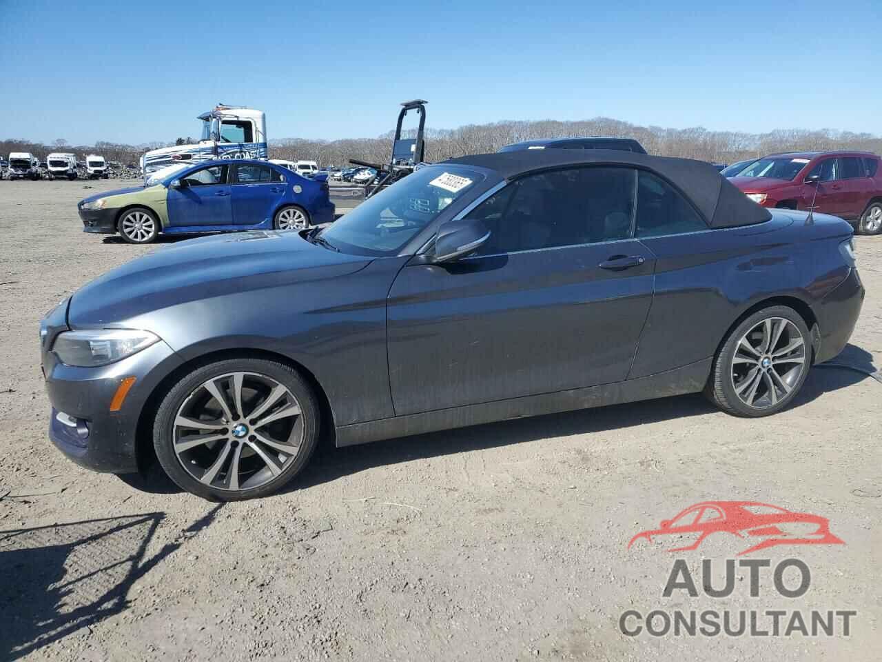 BMW 2 SERIES 2016 - WBA1L9C51GV767356