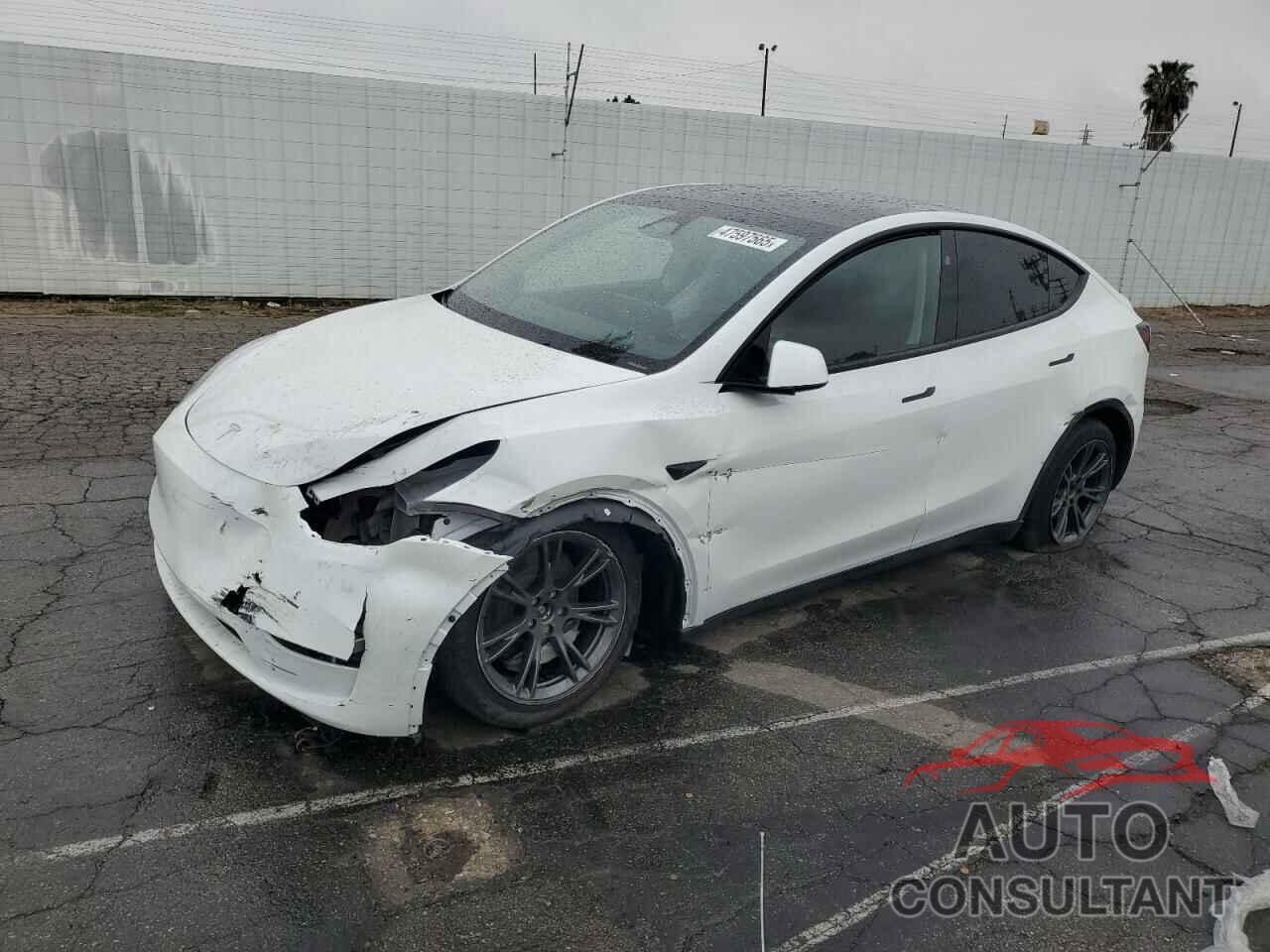 TESLA MODEL Y 2024 - 7SAYGDEE0RF165672