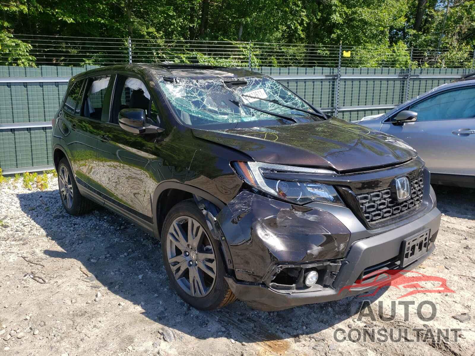 HONDA PASSPORT 2019 - 5FNYF8H51KB014994