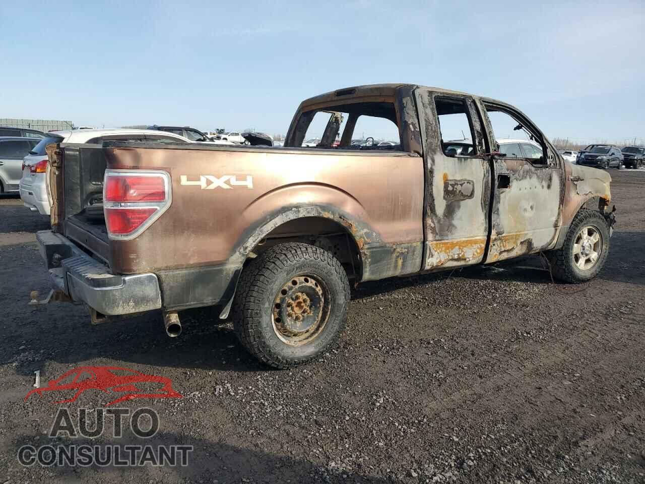 FORD F-150 2011 - 1FTFX1ET2BFC66828