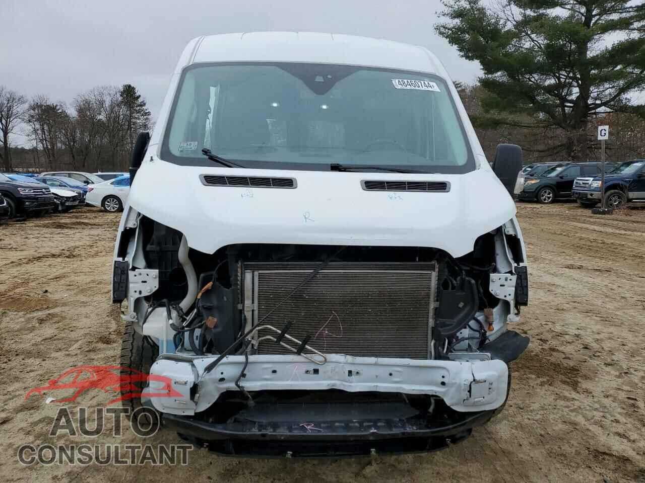 FORD TRANSIT 2019 - 1FTYR2CM6KKB43786
