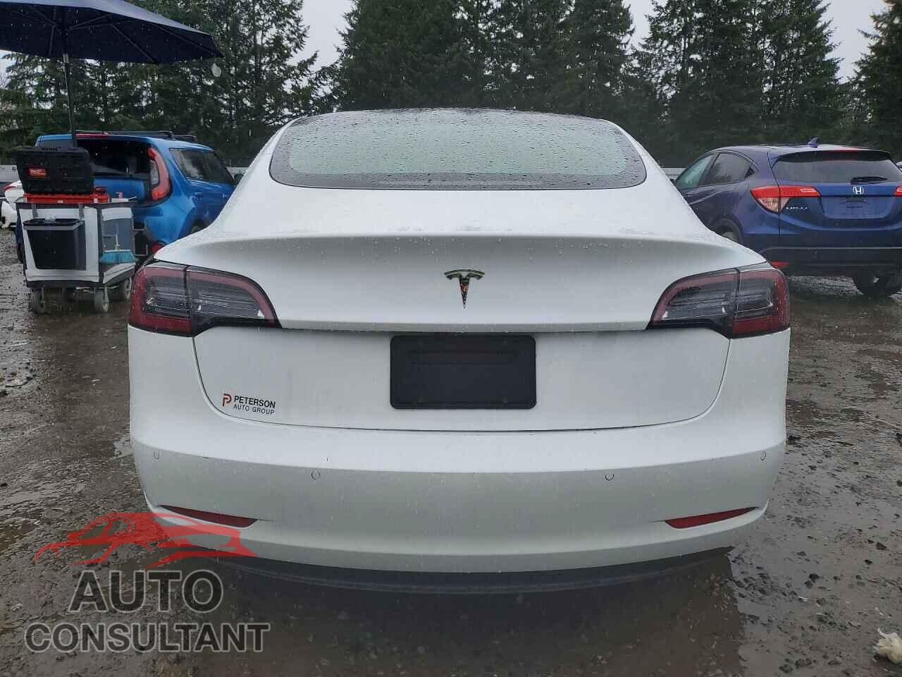 TESLA MODEL 3 2021 - 5YJ3E1EA3MF929936