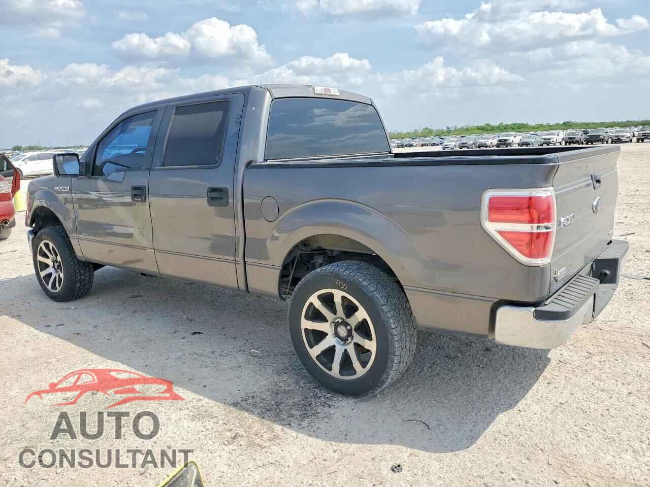 FORD F150 2013 - 1FTEW1CM0DKF55260