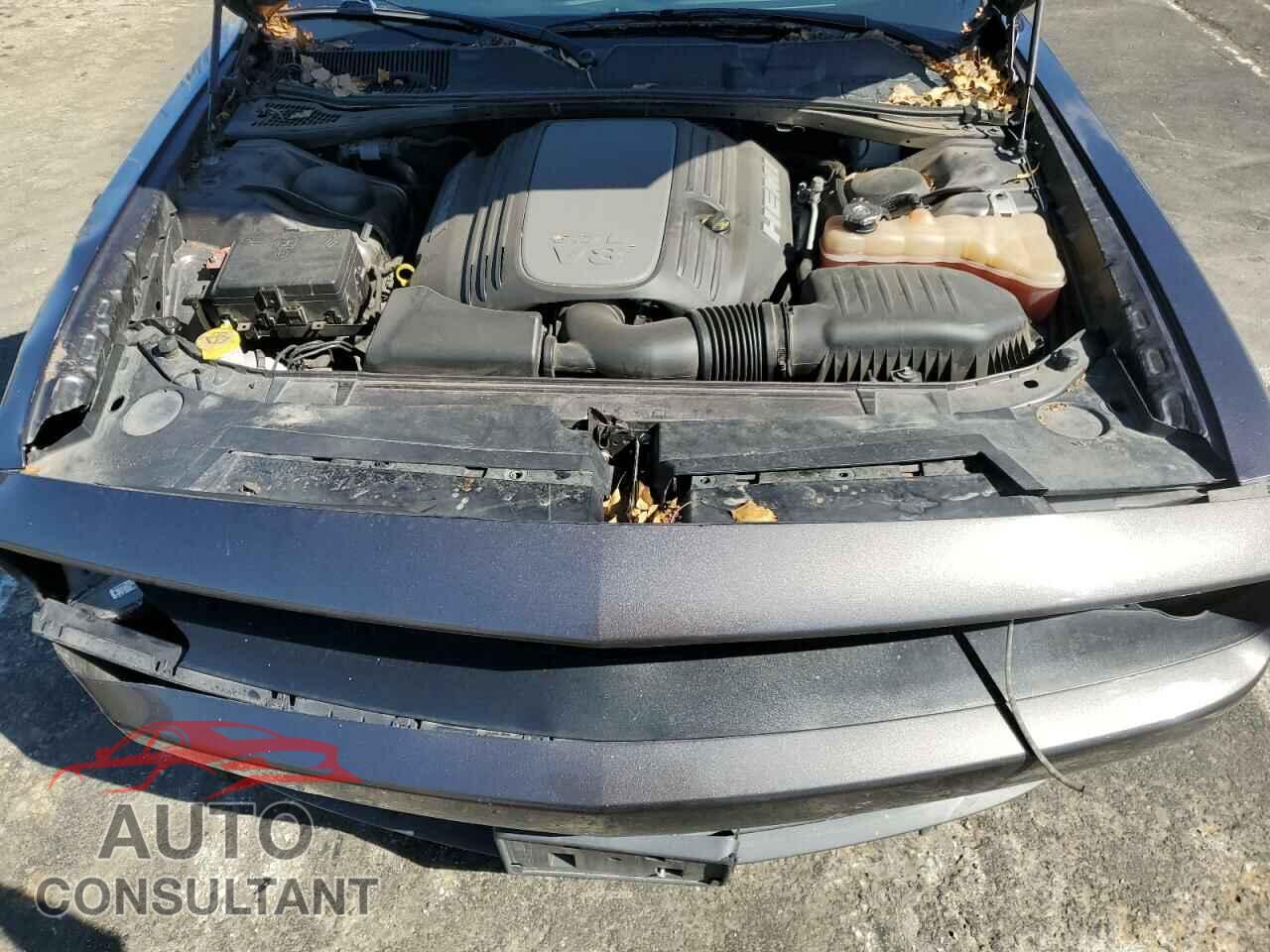 DODGE CHALLENGER 2017 - 2C3CDZBT2HH555220