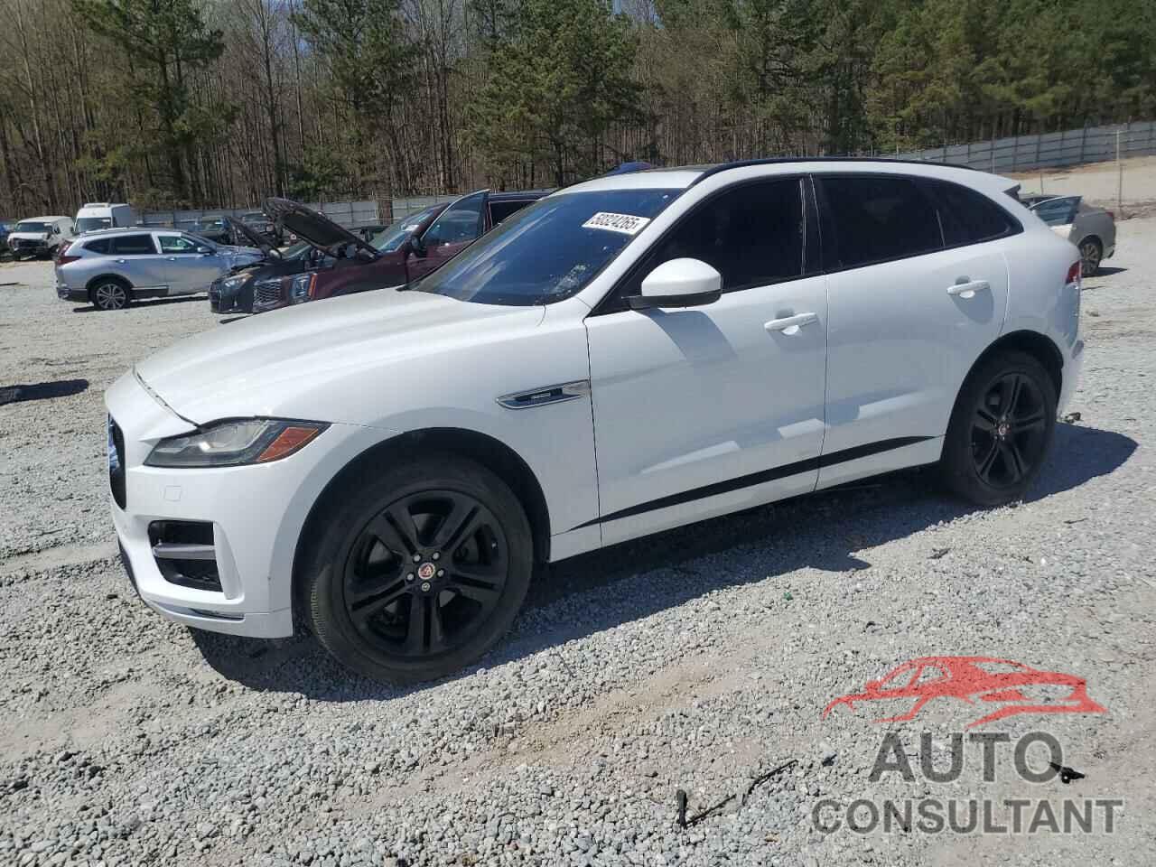 JAGUAR F-PACE 2019 - SADCL2GX6KA396147