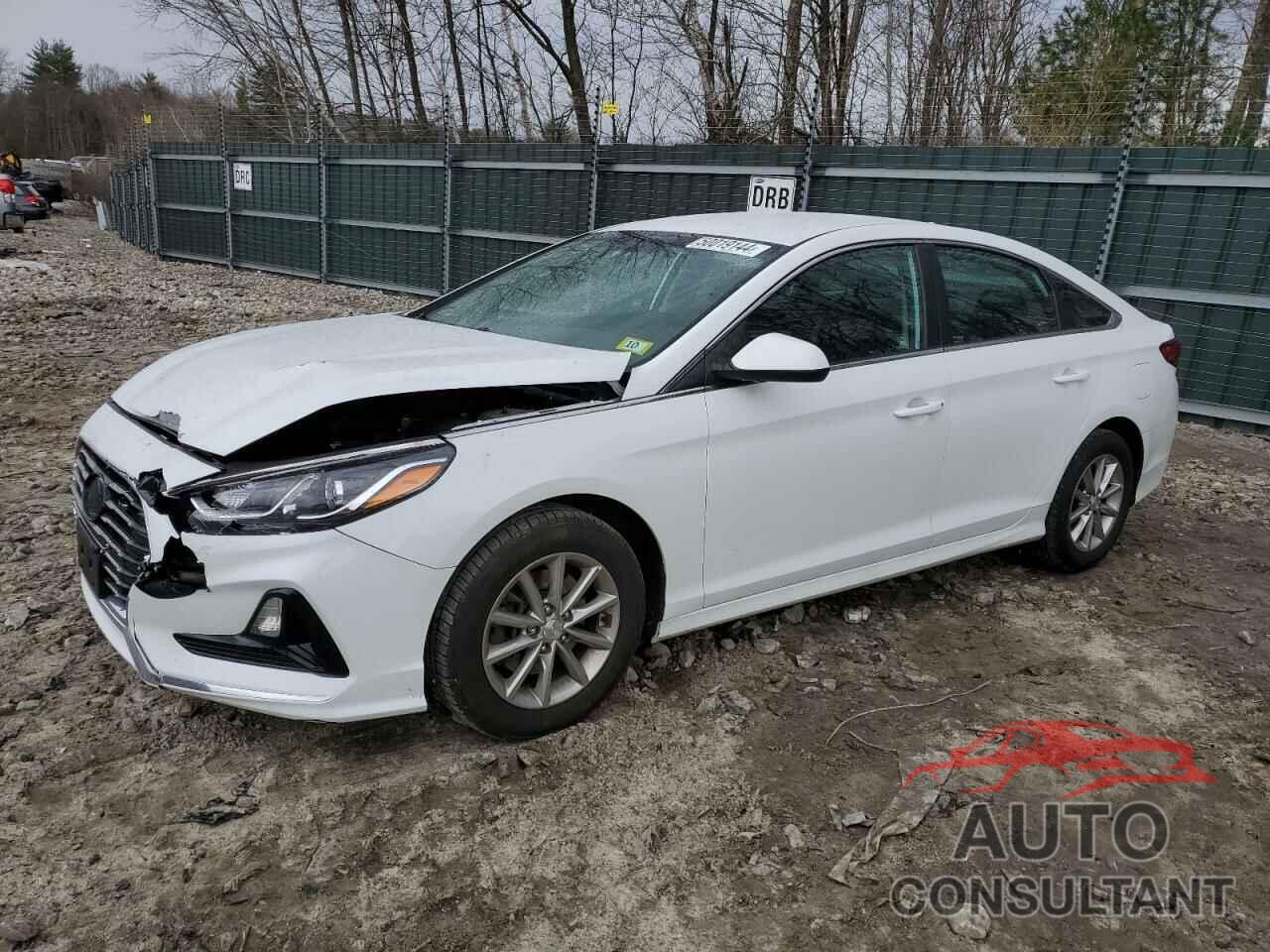 HYUNDAI SONATA 2019 - 5NPE24AF7KH795595