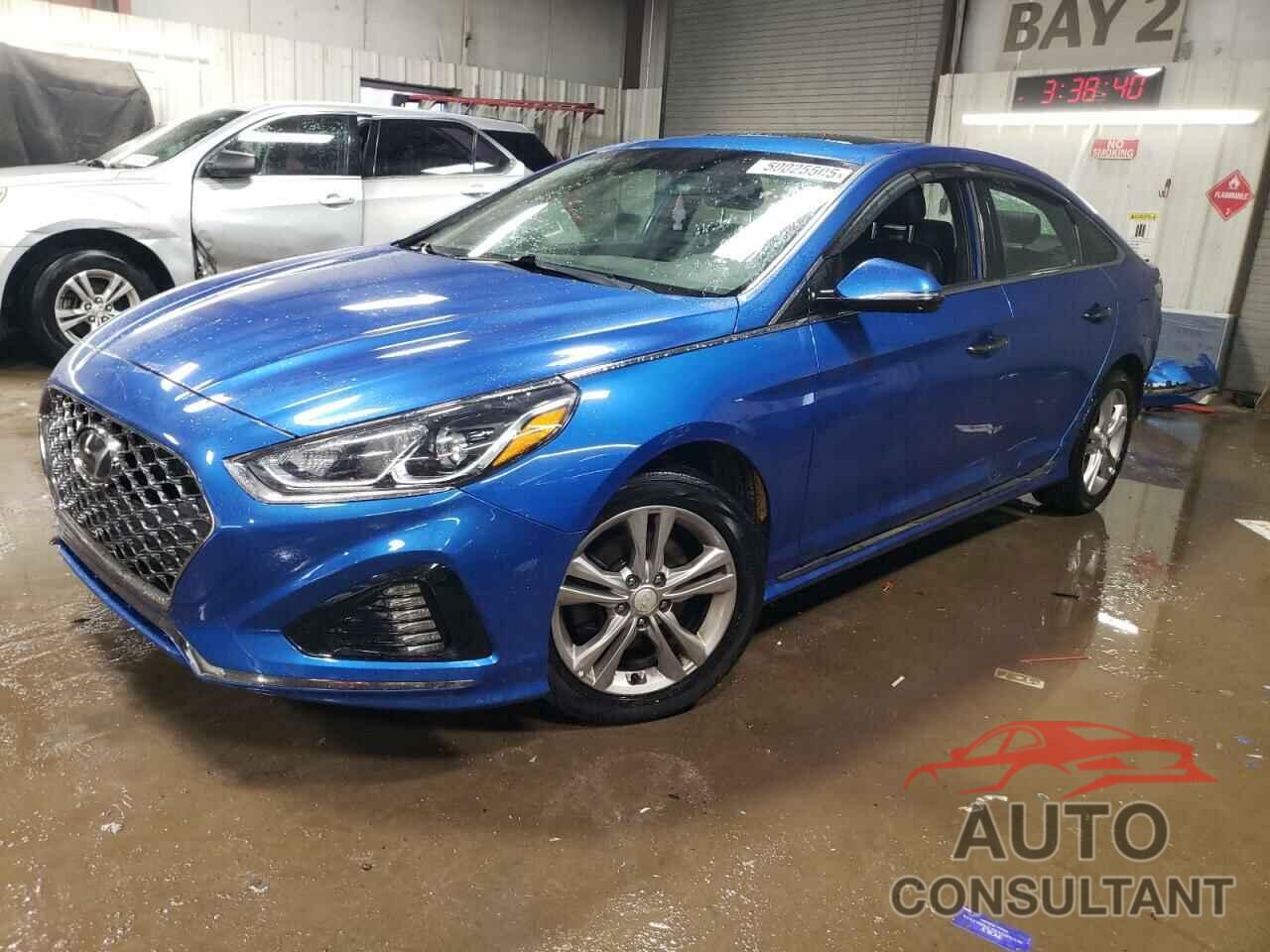 HYUNDAI SONATA 2019 - 5NPE34AF1KH736328