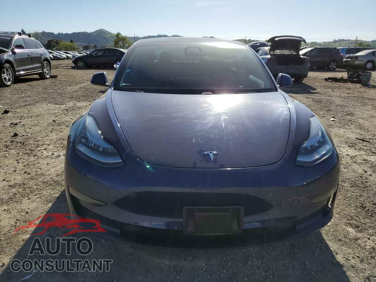 TESLA MODEL 3 2019 - 5YJ3E1EB1KF387869