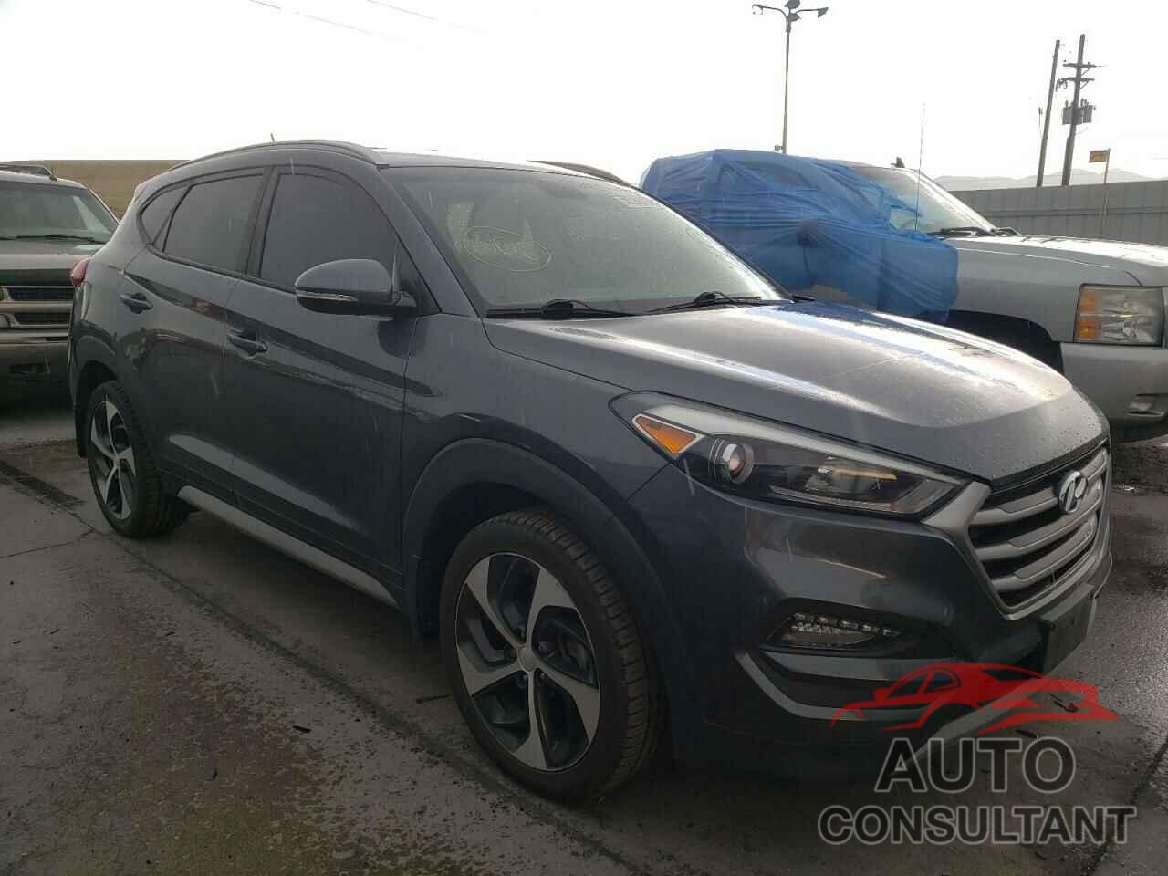 HYUNDAI TUCSON 2017 - KM8J3CA29HU523448
