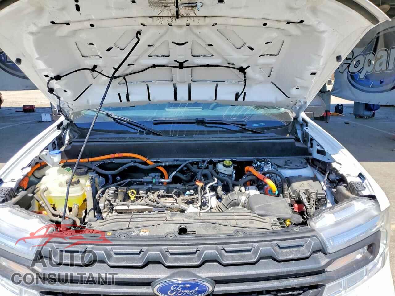 FORD MAVERICK 2023 - 3FTTW8E38PRA94541