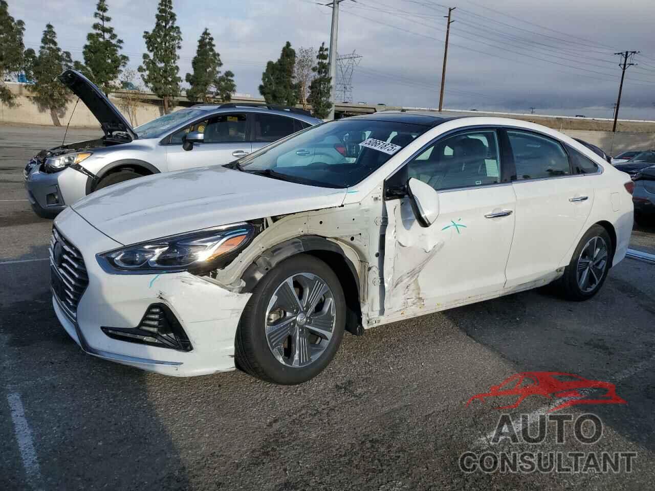 HYUNDAI SONATA 2019 - KMHE34L30KA092231