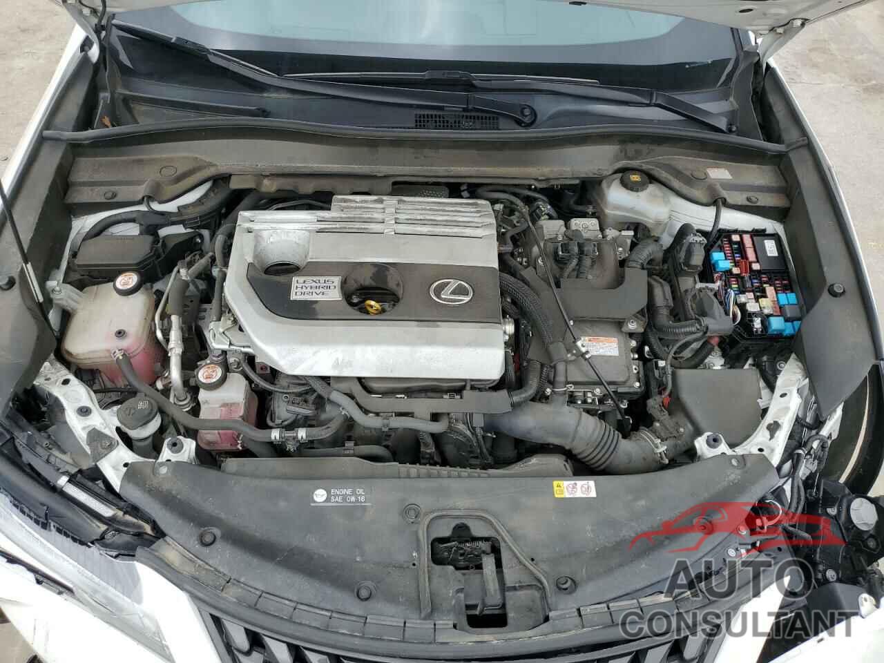 LEXUS UX 250H 2019 - JTHU9JBH9K2014582