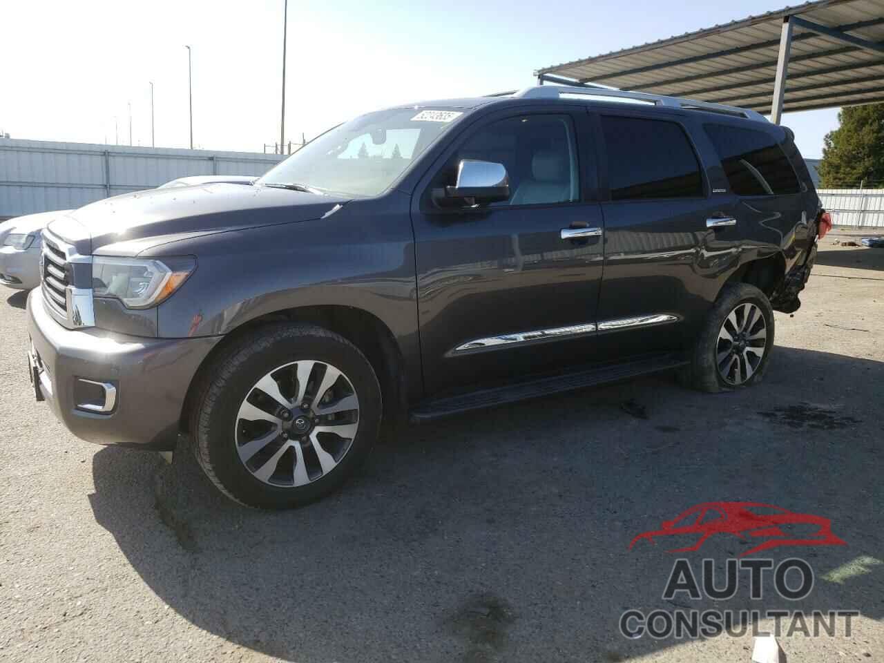 TOYOTA SEQUOIA 2019 - 5TDJY5G15KS170184