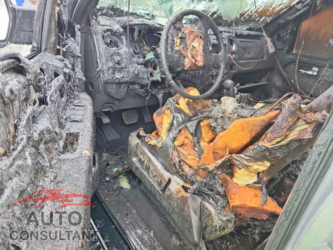 FORD F150 2011 - 1FTFW1ET1BFD03175