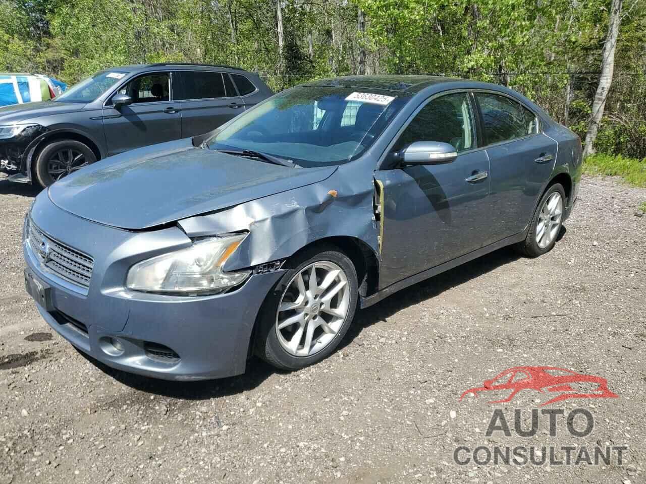 NISSAN MAXIMA 2011 - 1N4AA5AP7BC859314