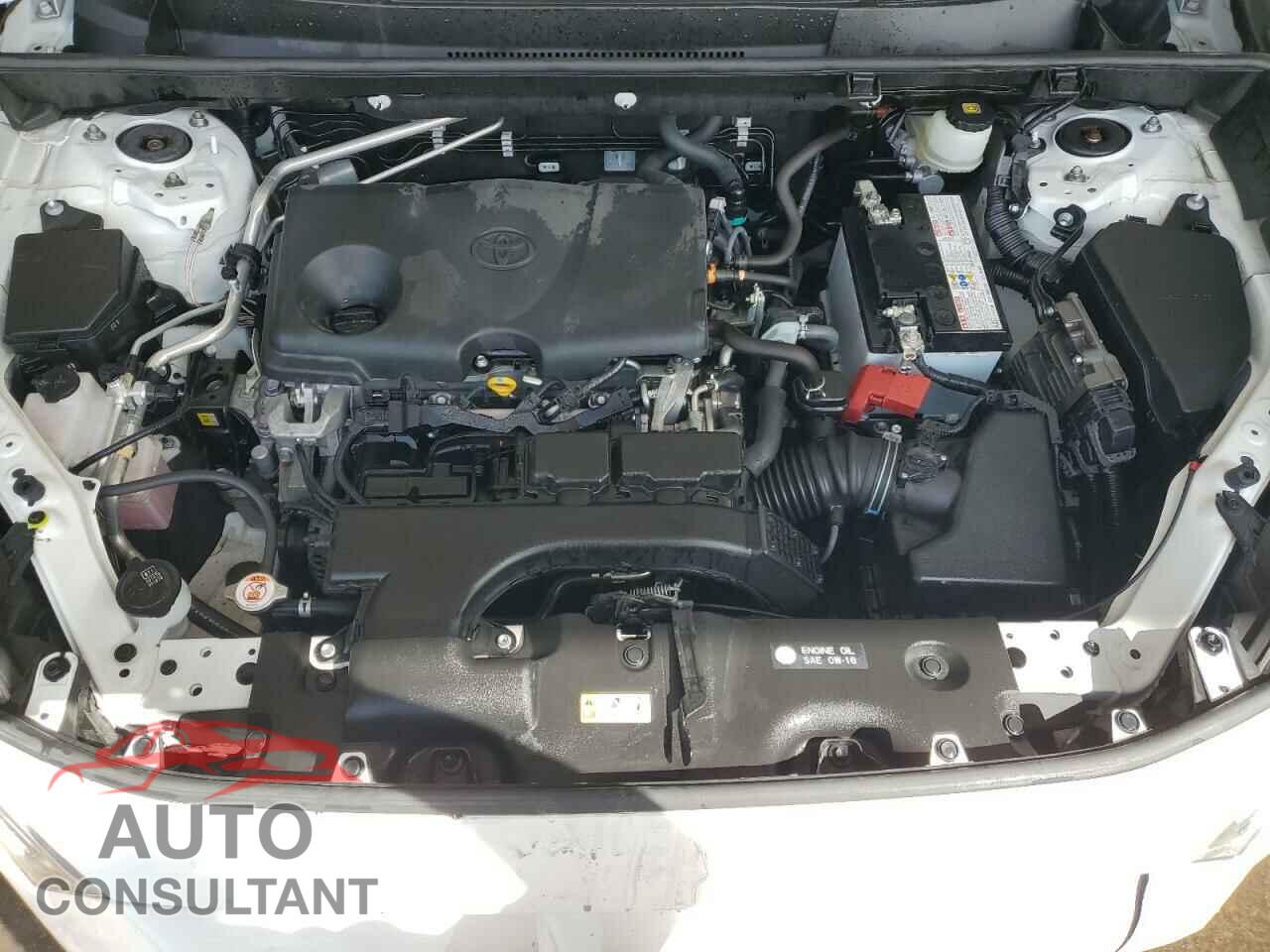 TOYOTA RAV4 2019 - JTMP1RFV1KD031689