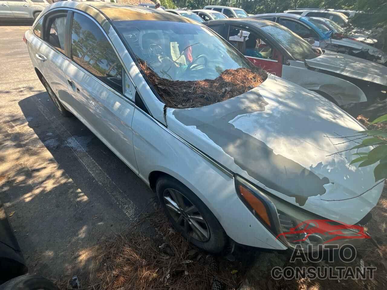 HYUNDAI SONATA 2016 - 5NPE24AF5GH396501