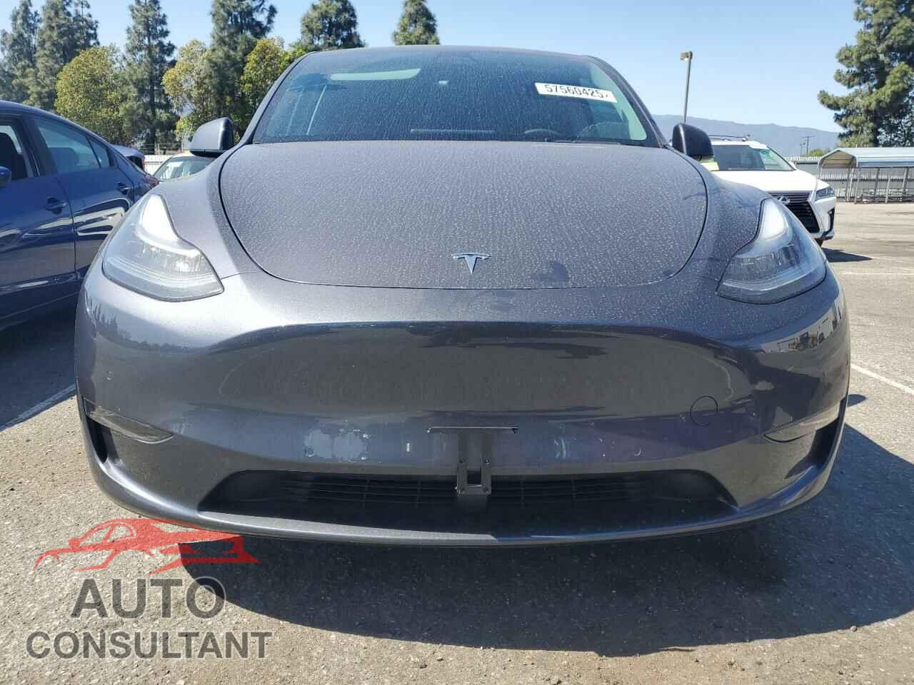 TESLA MODEL Y 2022 - 7SAYGDEE3NF507044