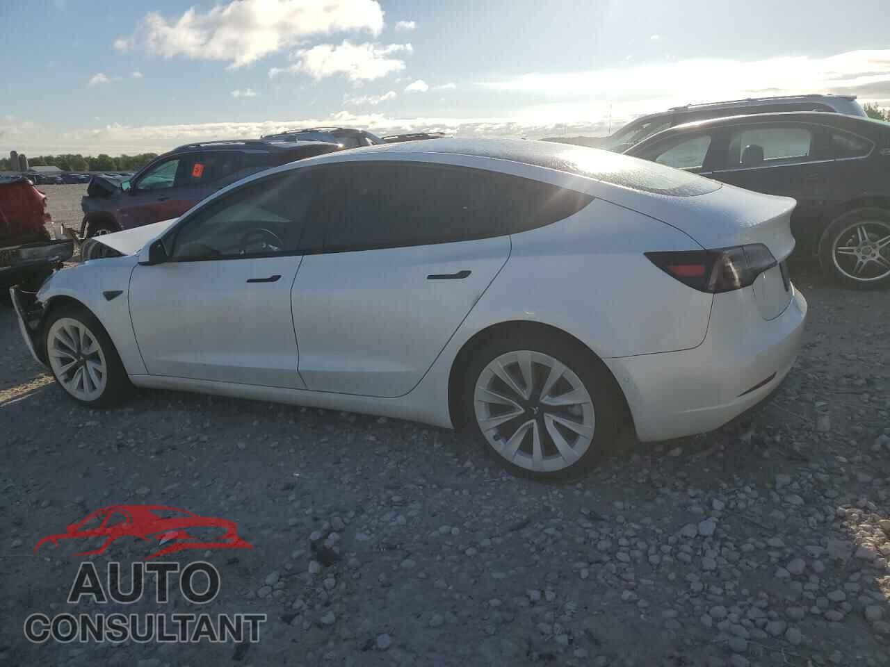 TESLA MODEL 3 2021 - 5YJ3E1EA3MF053787