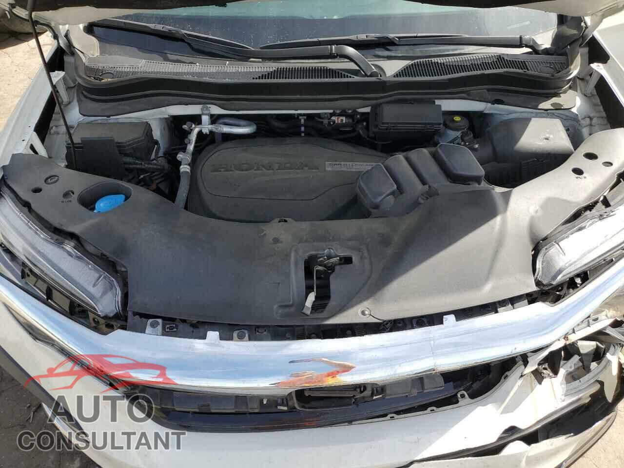 HONDA PILOT 2019 - 5FNYF5H95KB005183