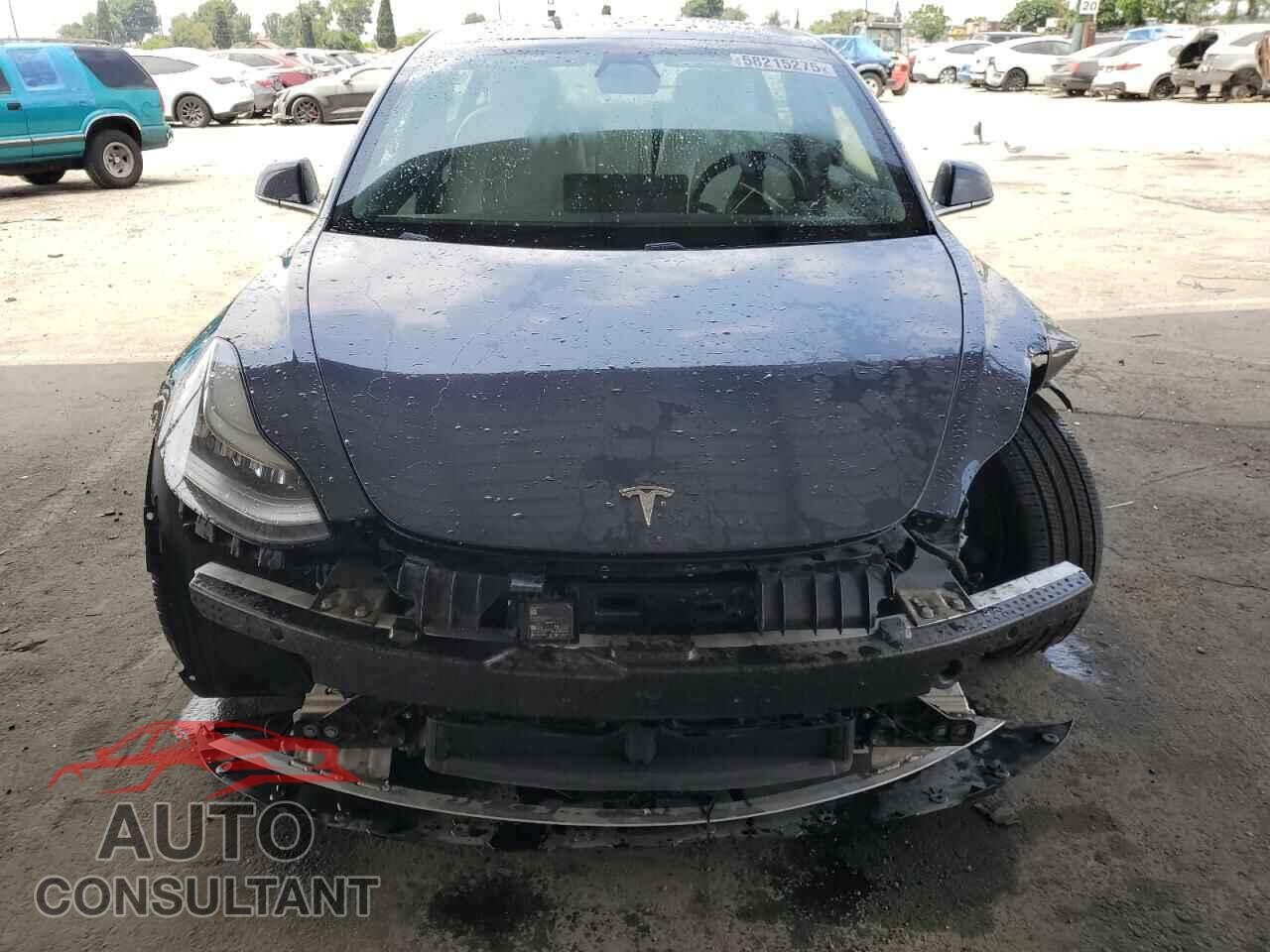 TESLA MODEL 3 2019 - 5YJ3E1EB1KF450355