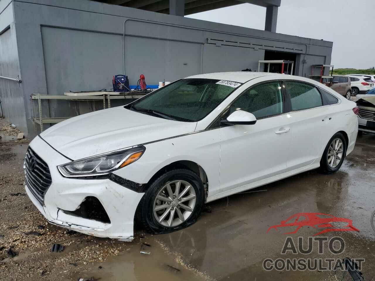 HYUNDAI SONATA 2019 - 5NPE24AF7KH819135