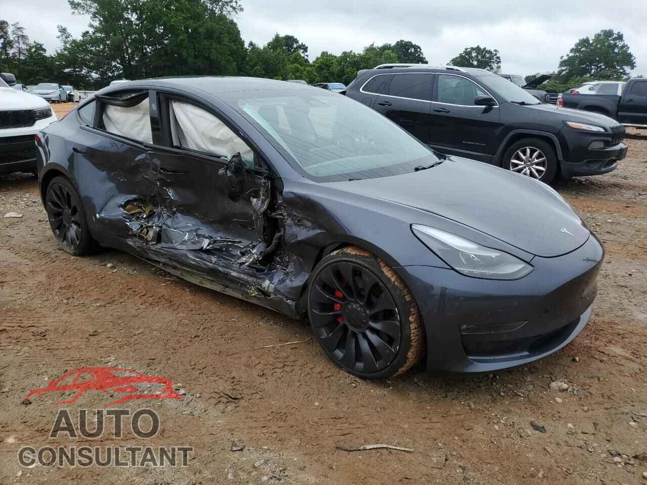 TESLA MODEL 3 2021 - 5YJ3E1EC4MF025269