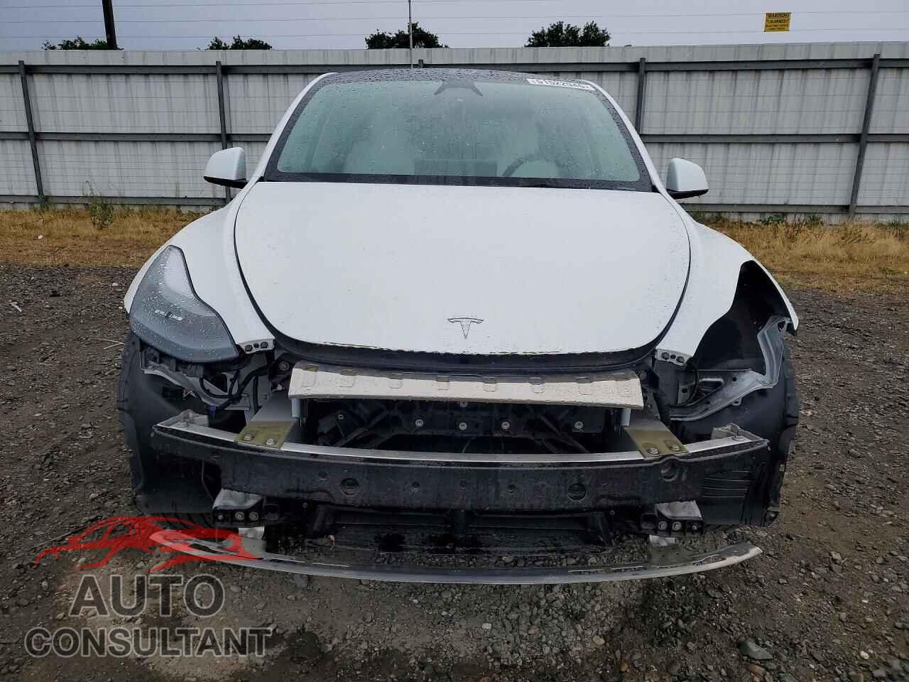 TESLA MODEL Y 2024 - 7SAYGDED3RF103674