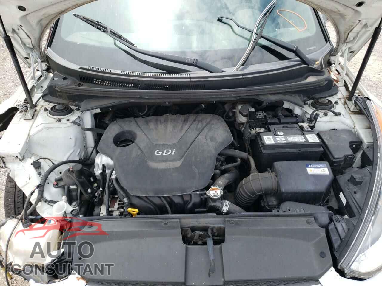 HYUNDAI VELOSTER 2016 - KMHTC6AD3GU303782