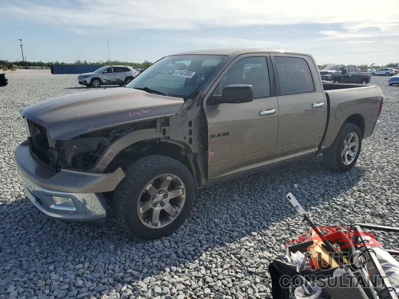 DODGE All Models 2010 - 1D7RB1CT6AS193439