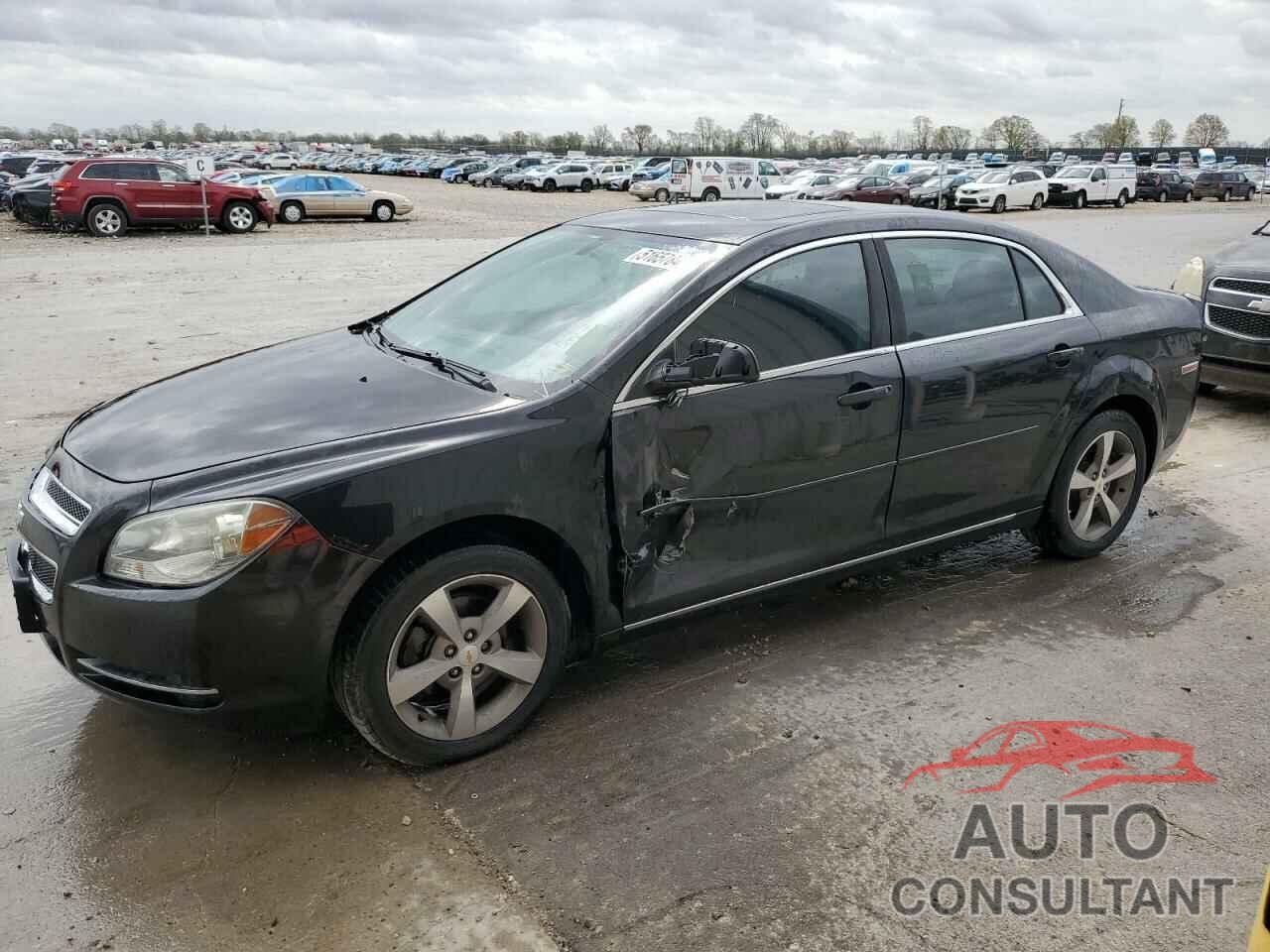 CHEVROLET MALIBU 2011 - 1G1ZC5E19BF139758