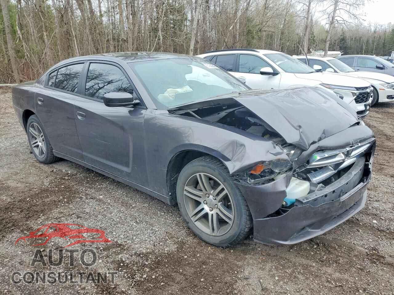 DODGE CHARGER 2014 - 2C3CDXHG5EH366104