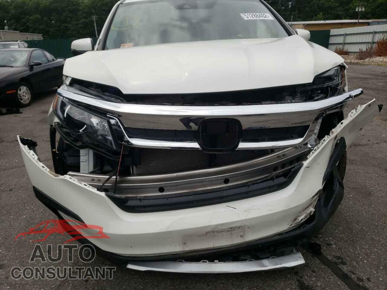 HONDA PILOT 2019 - 5FNYF6H59KB064644