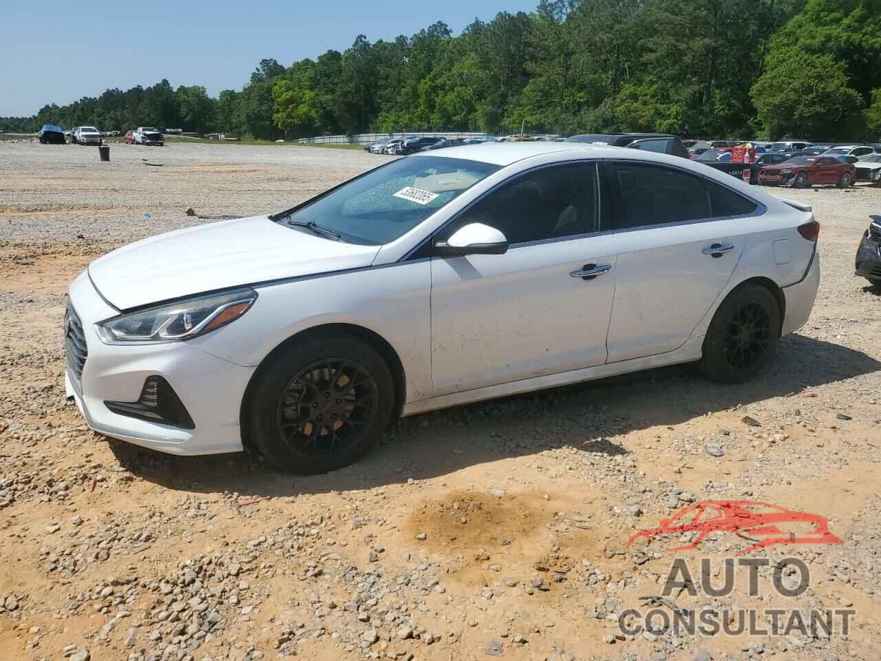 HYUNDAI SONATA 2018 - 5NPE34AF8JH668429