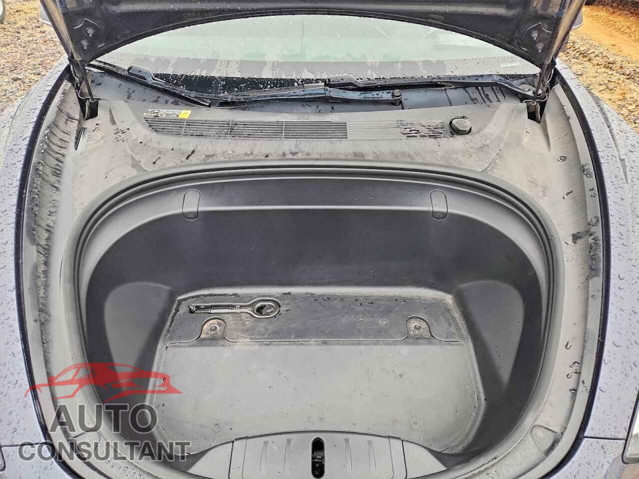 TESLA MODEL 3 2019 - 5YJ3E1EA2KF308197