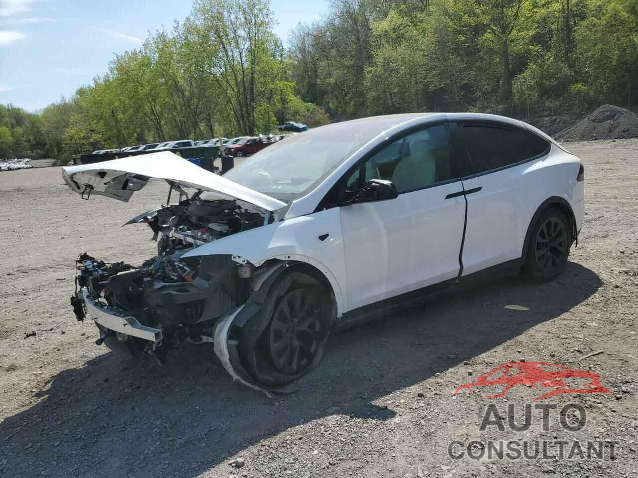 TESLA MODEL X 2023 - 7SAXCAE58PF405683
