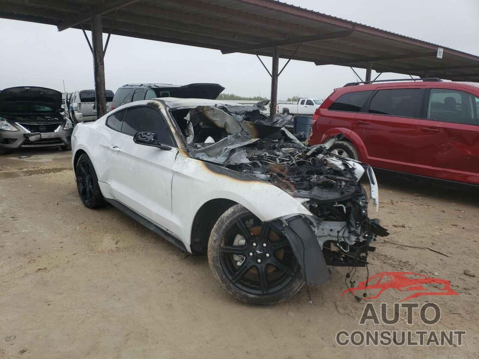 FORD MUSTANG 2020 - 1FA6P8TH7L5130344