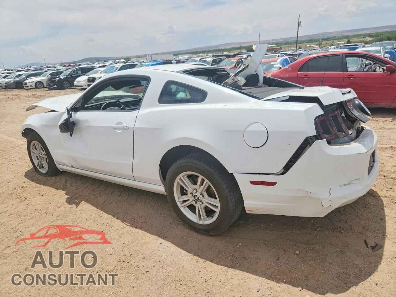 FORD MUSTANG 2014 - 1ZVBP8AM1E5268664