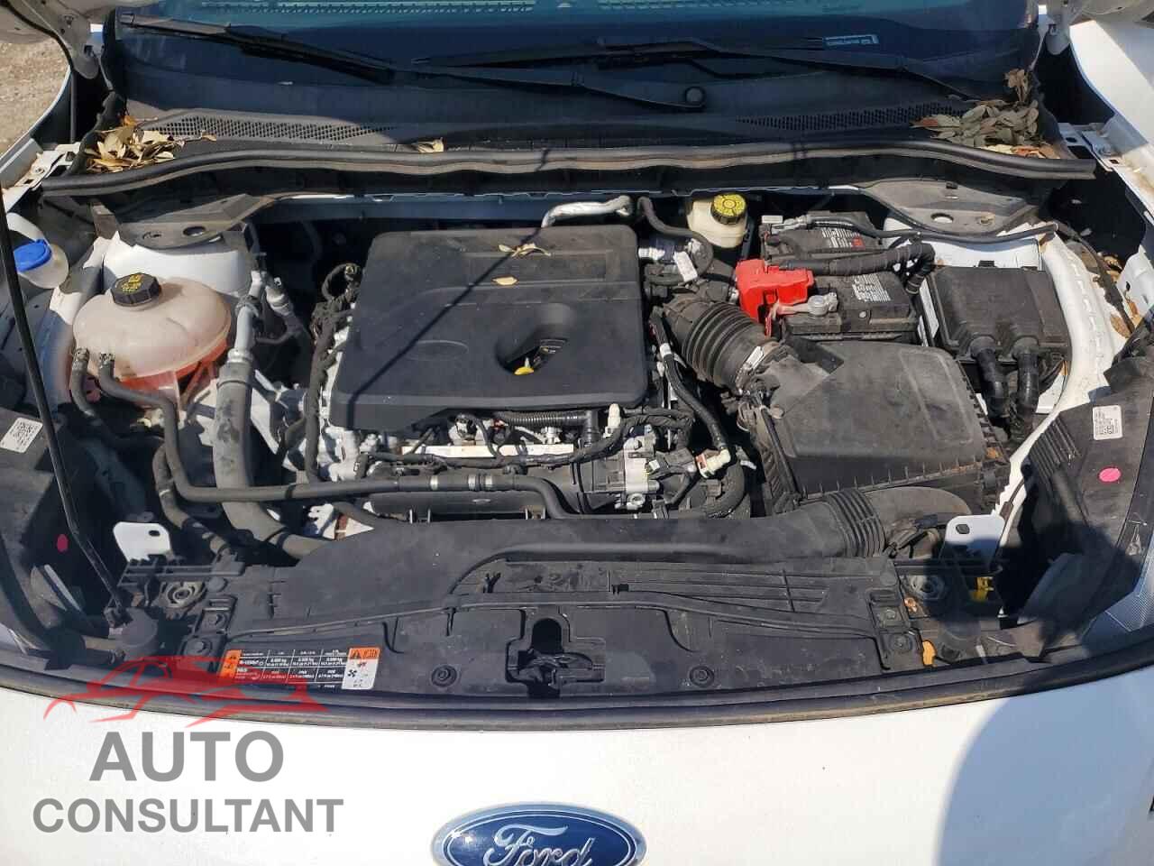 FORD ESCAPE 2020 - 1FMCU0H65LUA31408