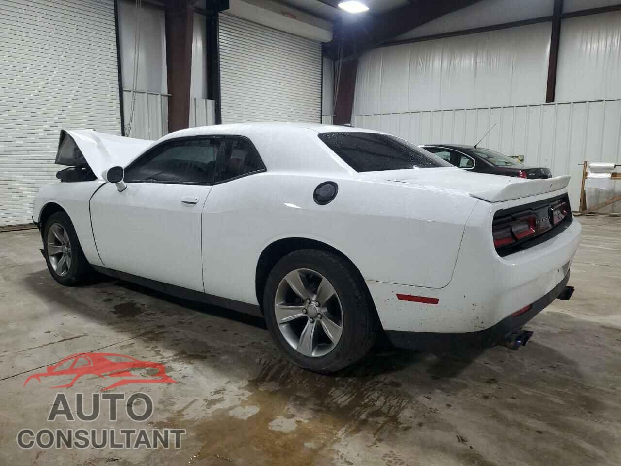 DODGE CHALLENGER 2019 - 2C3CDZAG8KH629610