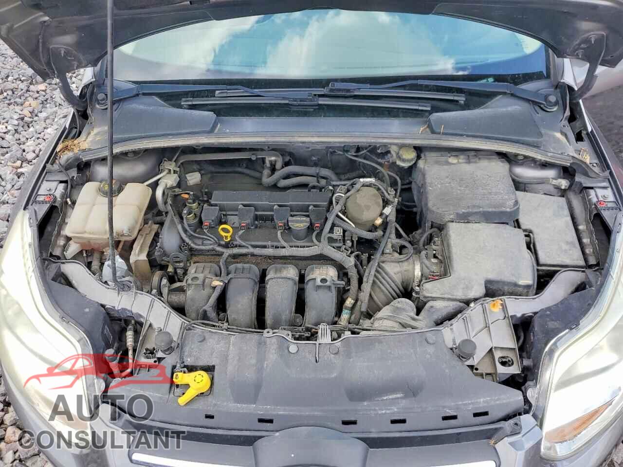 FORD FOCUS 2014 - 1FADP3F20EL167655